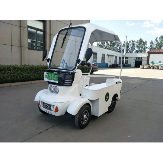 Electric Car White